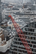 project management firm specializing - 1
