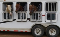 horse trailer sales service - 1
