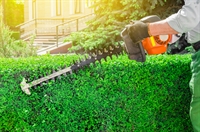 reputable landscaping business with - 1