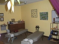 professional chiropractic office nassau - 2