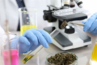 well-regarded certified cannabis laboratory - 1