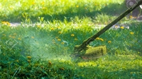 profitable lawn business equipment - 1