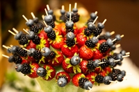 edible arrangements franchise laredo - 1