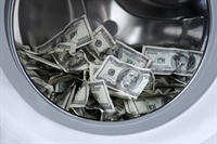 established national laundry franchise - 1