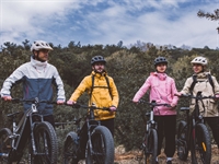 established e-bike sales service - 1