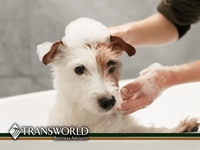 beautiful turn-key pet grooming - 1