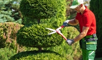 established commercial landscaping company - 1