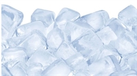 rapidly growing profitable ice - 1