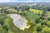 scenic farmland with pond - 2