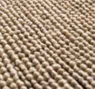 carpet cleaning business - 1