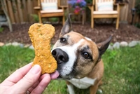 established amazon fba dog - 1