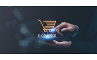 highly profitable shopify e-commerce - 1