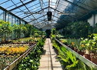 established retail garden center - 1