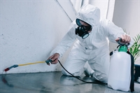 semi-absentee pest control business - 1