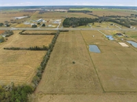 10 acre land ragley - 3