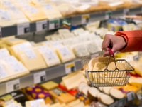 renowned gourmet cheese shop - 1