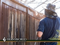 fence decks established business - 1