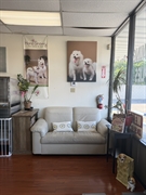 well-established pet grooming business - 2