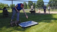 mobile dog training franchise - 3