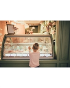homemade ice cream shop - 1