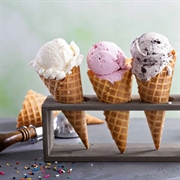 popular ice cream franchise - 1