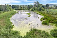 scenic farmland with pond - 3