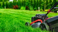 35 plus year landscaping - 1