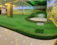 premier 23-year-old synthetic turf - 1