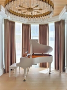 premium window coverings retailer - 1