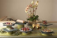 established premiere catering company - 3