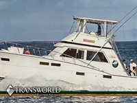 famous key west fishing - 1