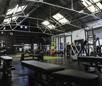 established crossfit gym affluent - 1