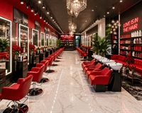 profitable premier broward hair - 1