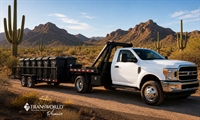 established rural waste collection - 1