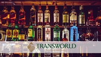 turnkey houston liquor store - 1