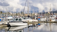boatyard business with two - 1