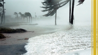 storm restoration business with - 1