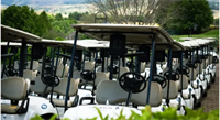 golf cart sales service - 1