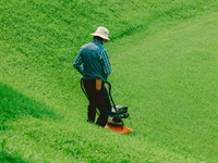 semi absentee established lawn - 1
