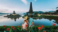 skyscanner-style travel comparison website - 1