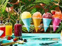 franchise shaved ice shop - 1