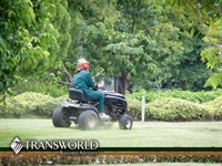 established commercial lawn landscaping - 1