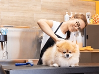 high-traffic grooming salon clean - 1
