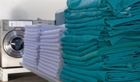 turnkey laundry business wash-dry-fold - 1