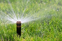 profitable landscaping irrigation business - 1