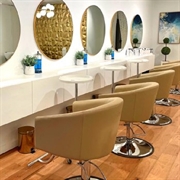 established salon spa new - 1