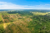 10 acre unrestricted land - 3