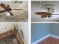 Expansive Mold Remediation And Cleanup Company (17823) For Sale 