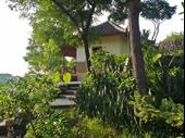 Lush Green Bungalow Resort With Big Land Plot For Sale