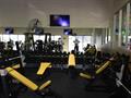 Growing And Profitable 24/7 Health Club. Great Roi For Sale